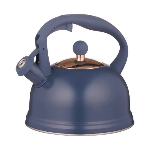 Stove Top Kettle