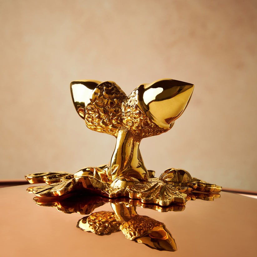 Historia 2.5 Qt Covered Saucepan