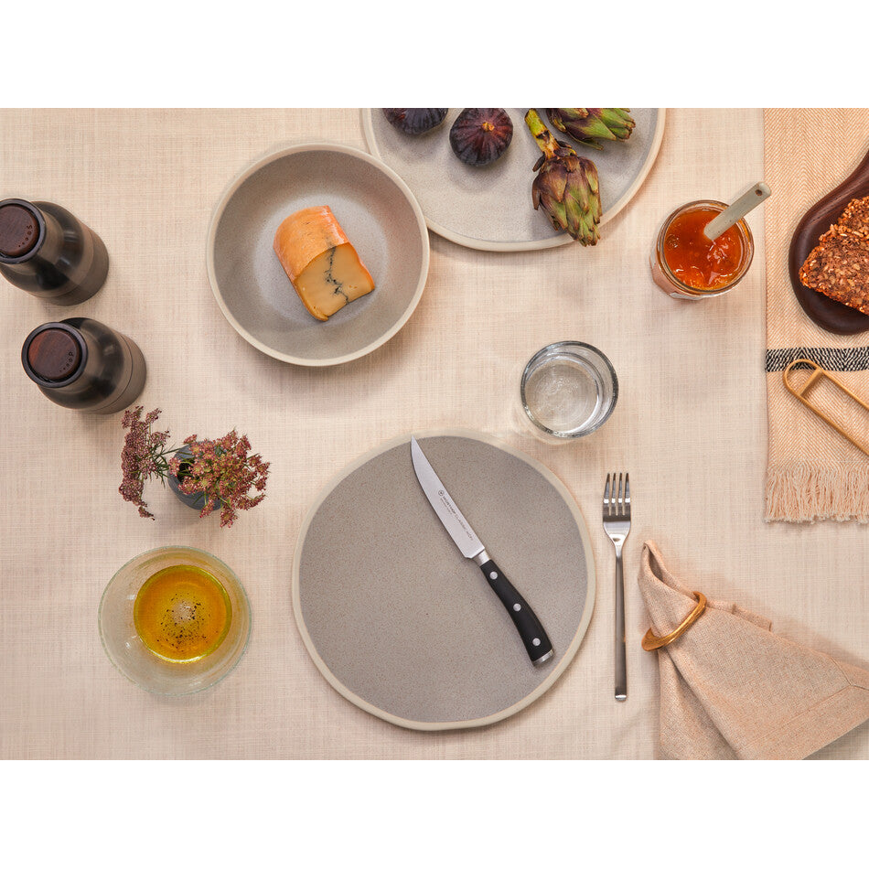 Classic Ikon 4-Piece Steak Knife Set