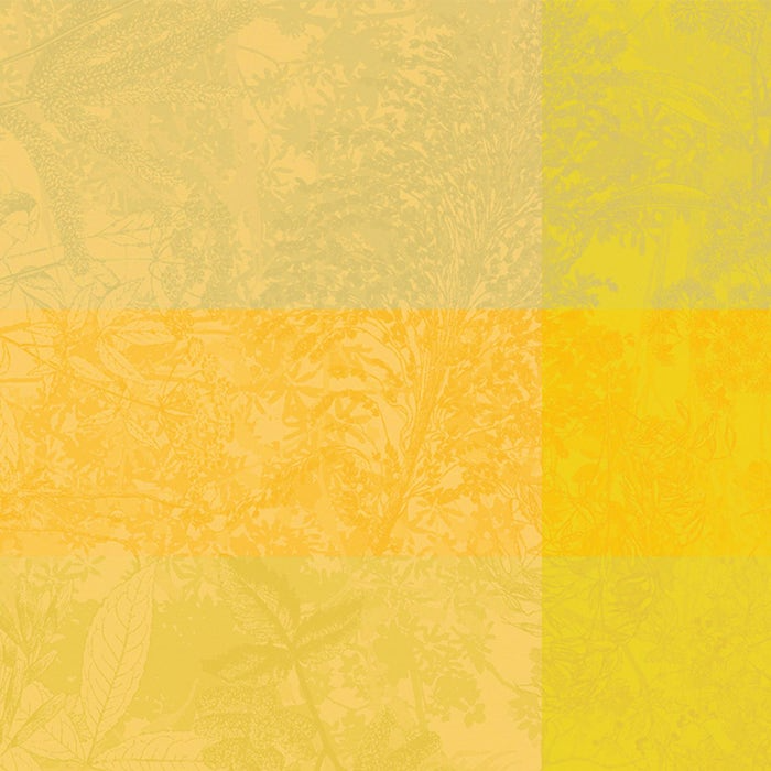 Tablecloth - Mille Esprit Jardin Solaire (Coated Cotton)
