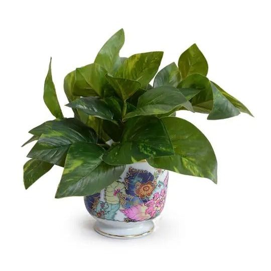 Tobacco Leaf - Small Cachepot