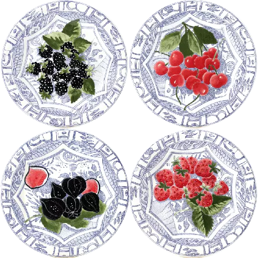 Oiseaux Bleu Fruits - Plates Set of 4