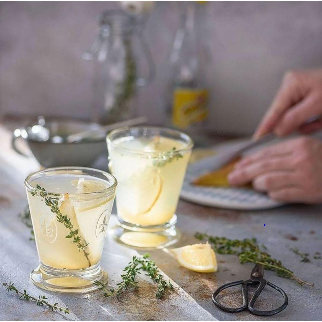 Fleur De Lys Tumbler - Set of 6