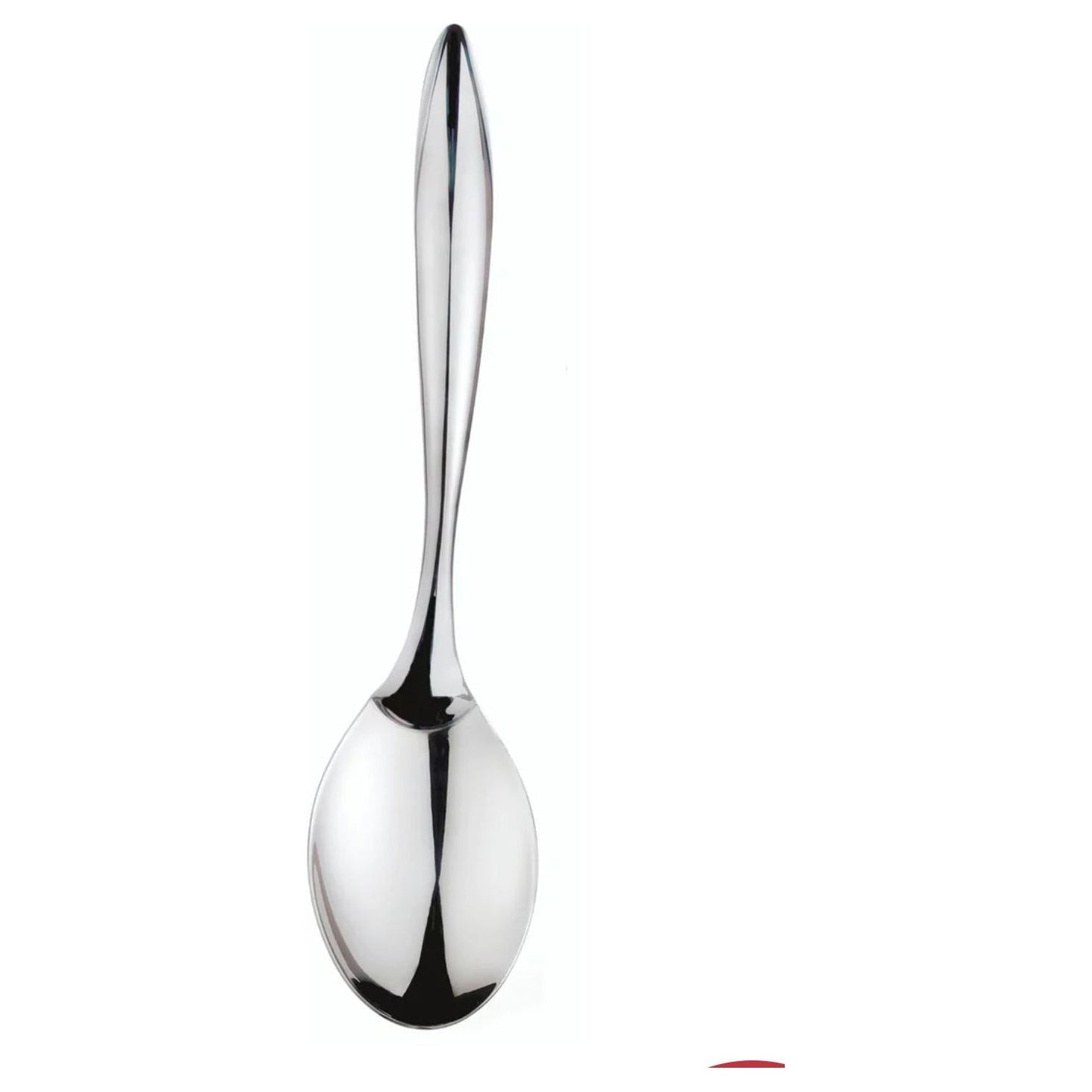 Stainless Steel Spoon , 10"