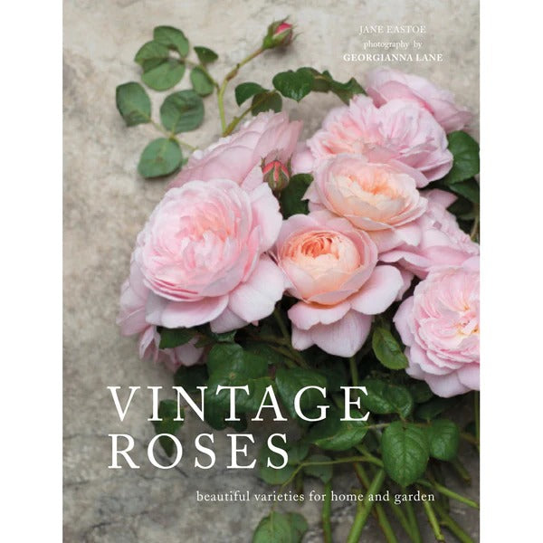 Vintage Roses