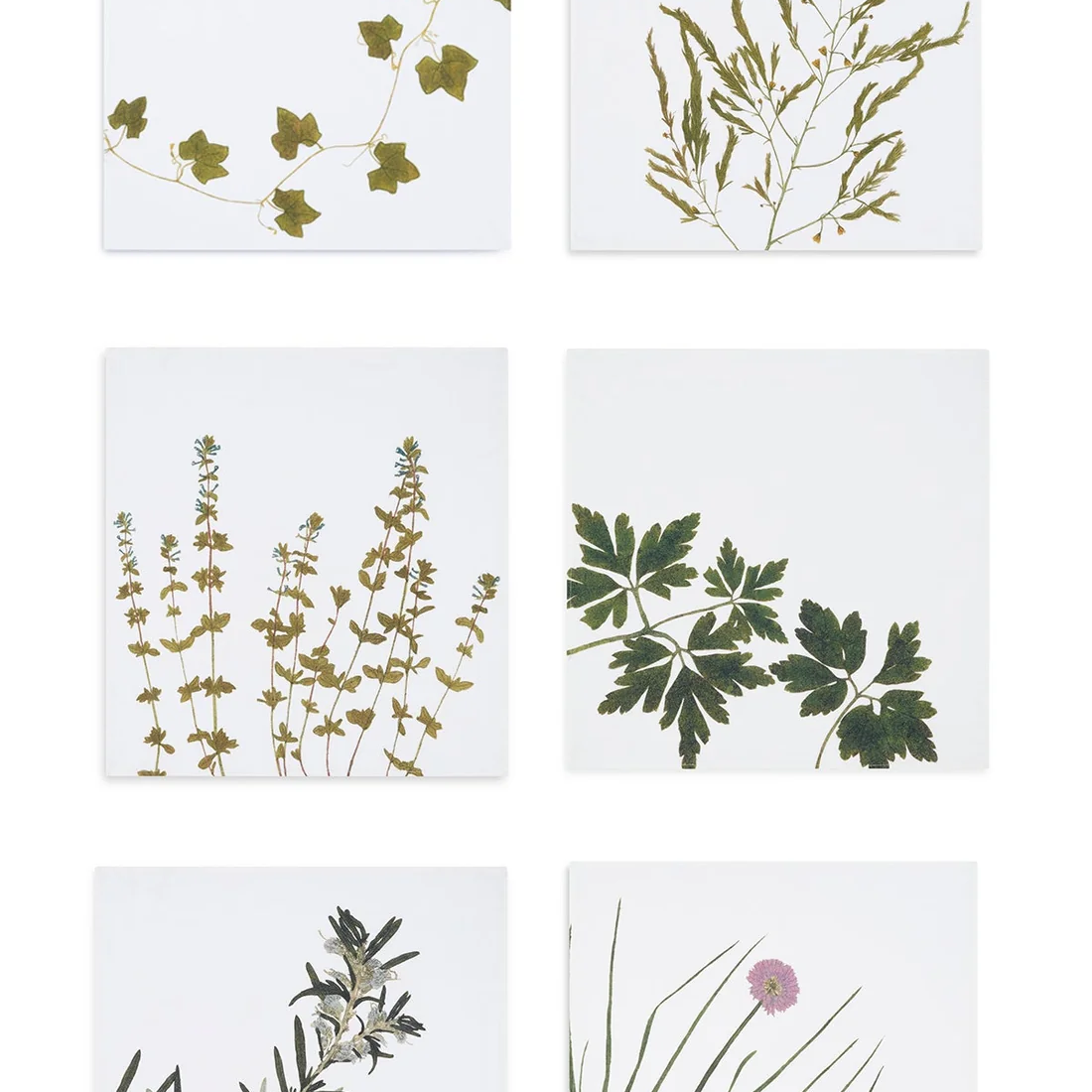 Herb Garden Table Linen Collection