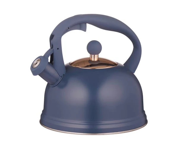 Stove Top Kettle