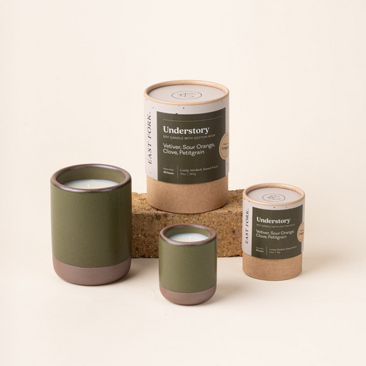 The Candle in Understory