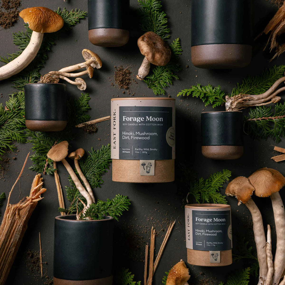 The Candle in Forage Moon
