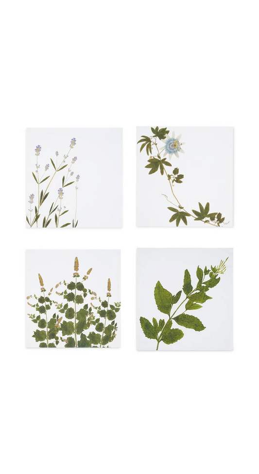 Napkins - S&B 'Tisane' Herb (set of 4)