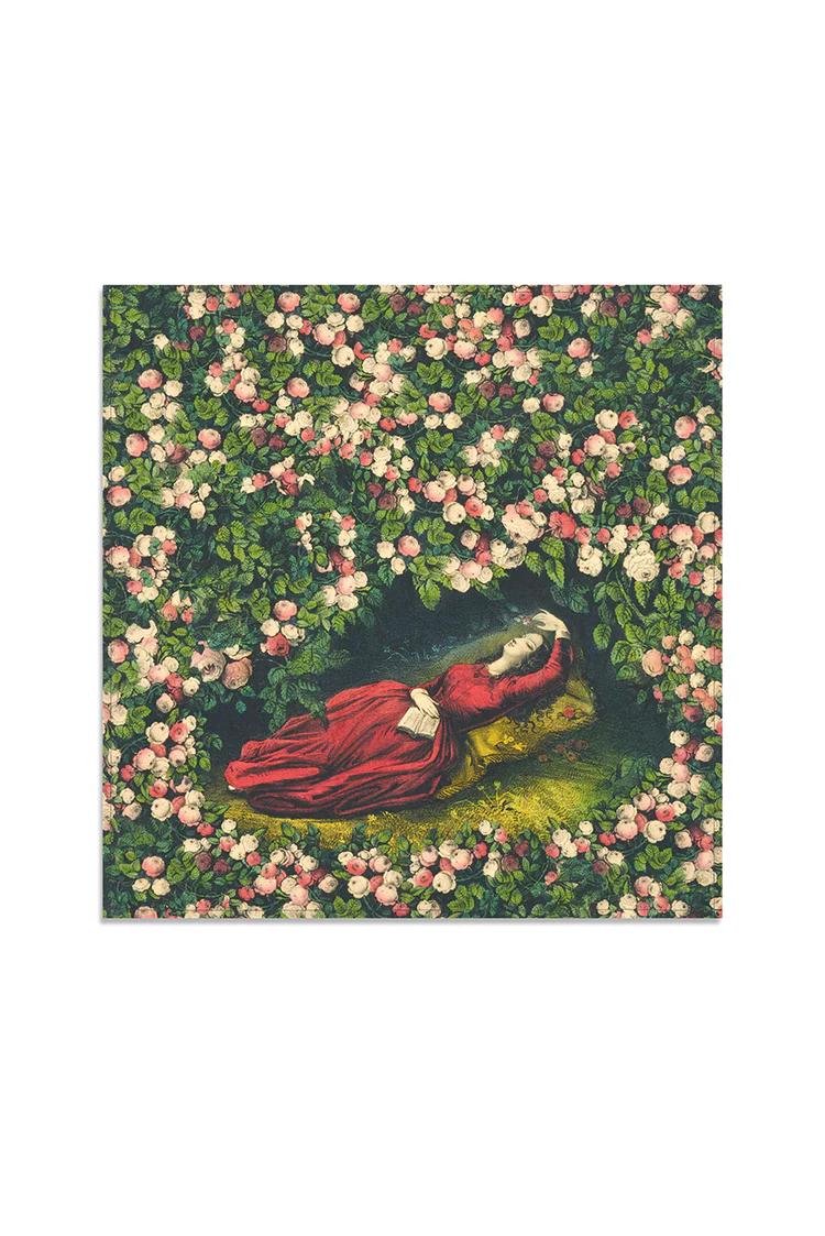 S&B x John Derian Sleeping Beauty Table Linen Collection