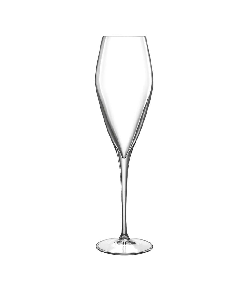 Atelier 9.25 oz Champagne Glasses (Set of 6)