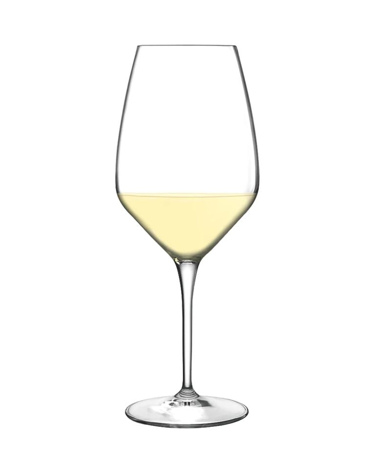 Atelier 11.75 OZ Sauvignon White Wine Glasses (Set Of 6)