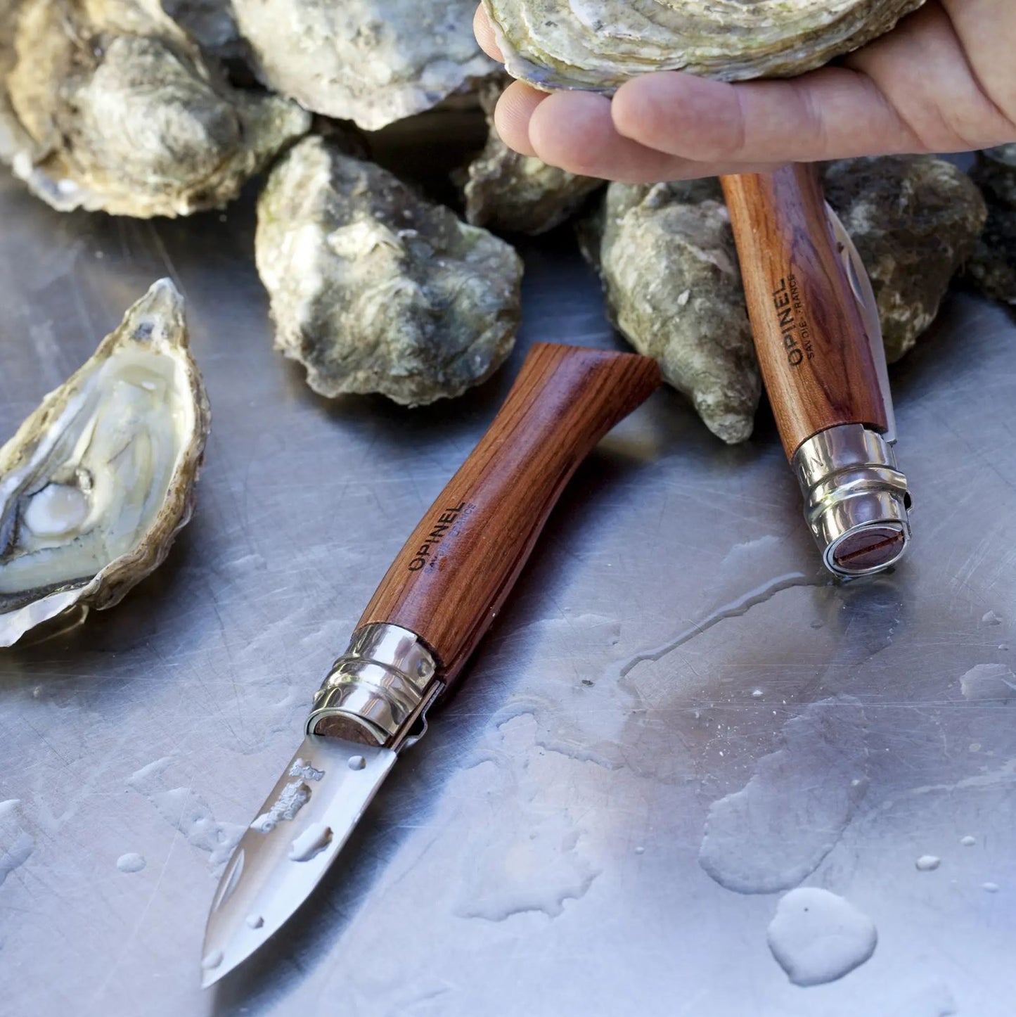 N°9 Oyster Knife with Padouk Handle