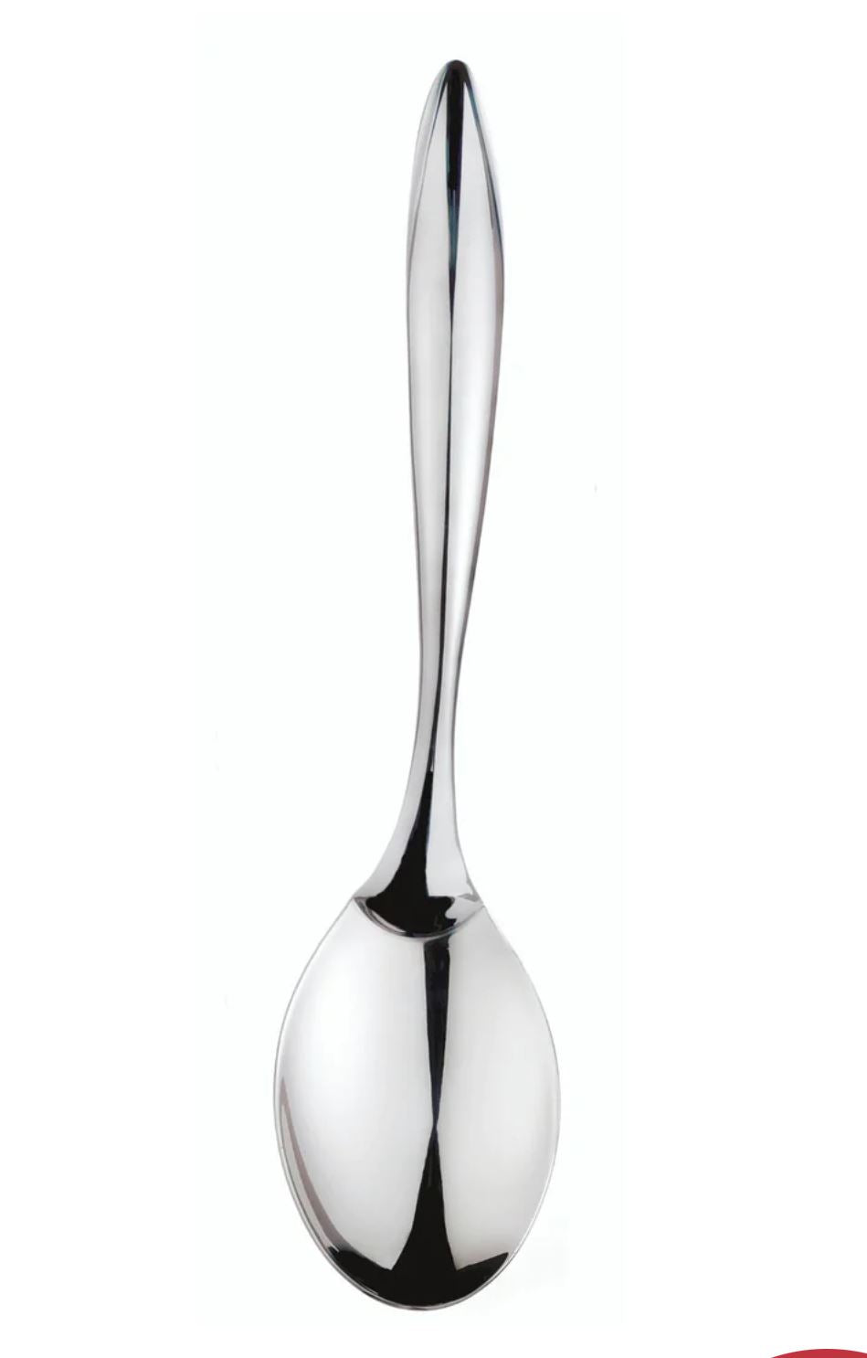 Stainless Steel Spoon , 10"